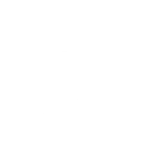 Perseus Technologies